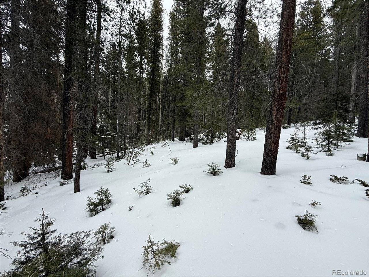 2805 Moir, Fort Garland, CO 81133