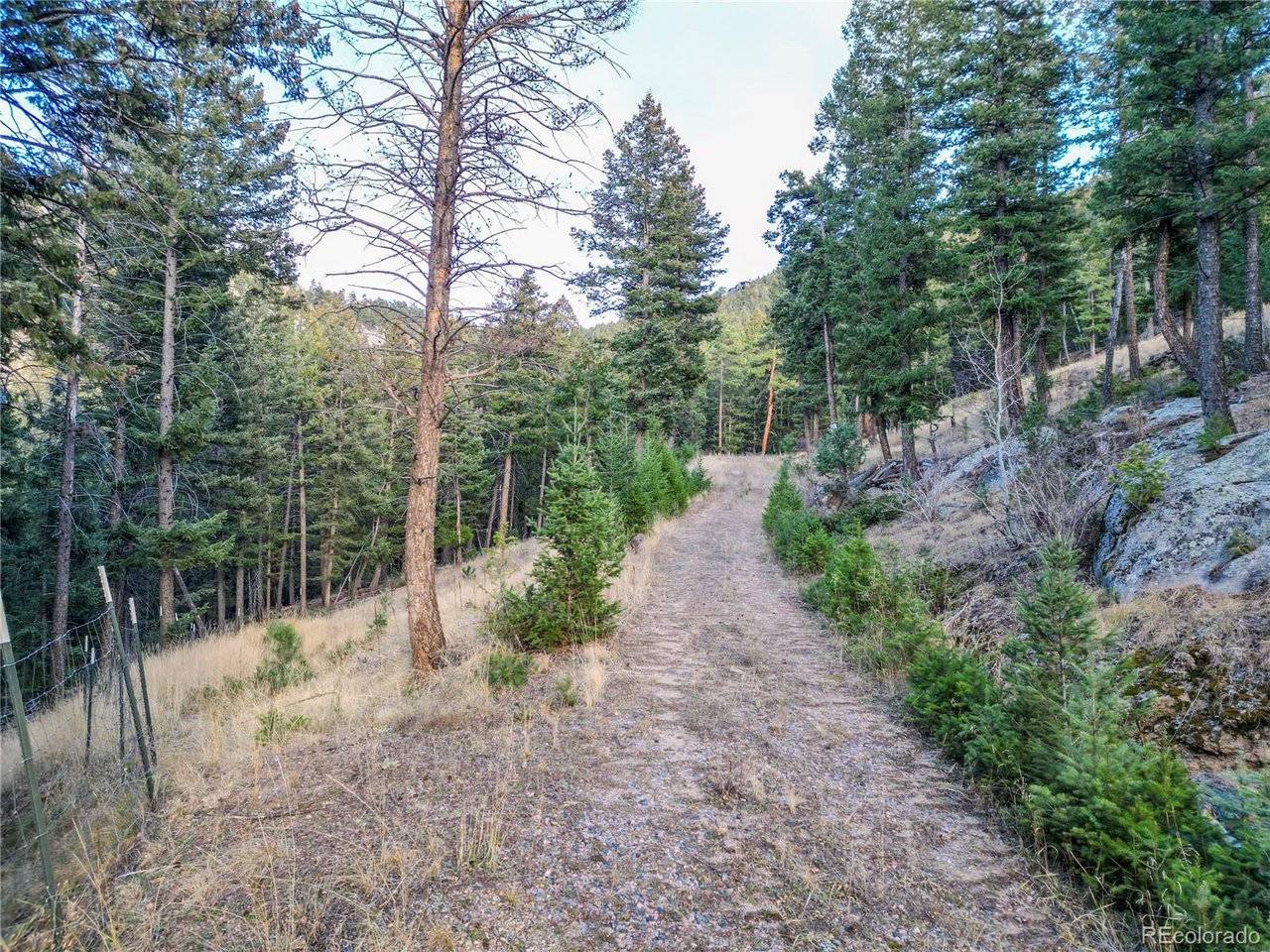 26779 Fern Gulch Road, Evergreen, CO 80439
