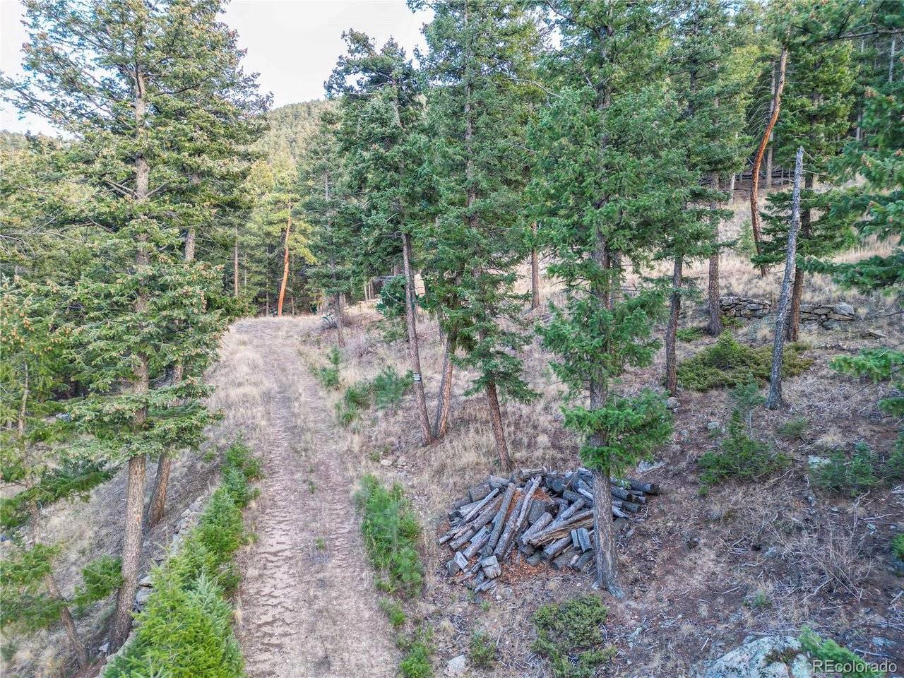 26779 Fern Gulch Road, Evergreen, CO 80439