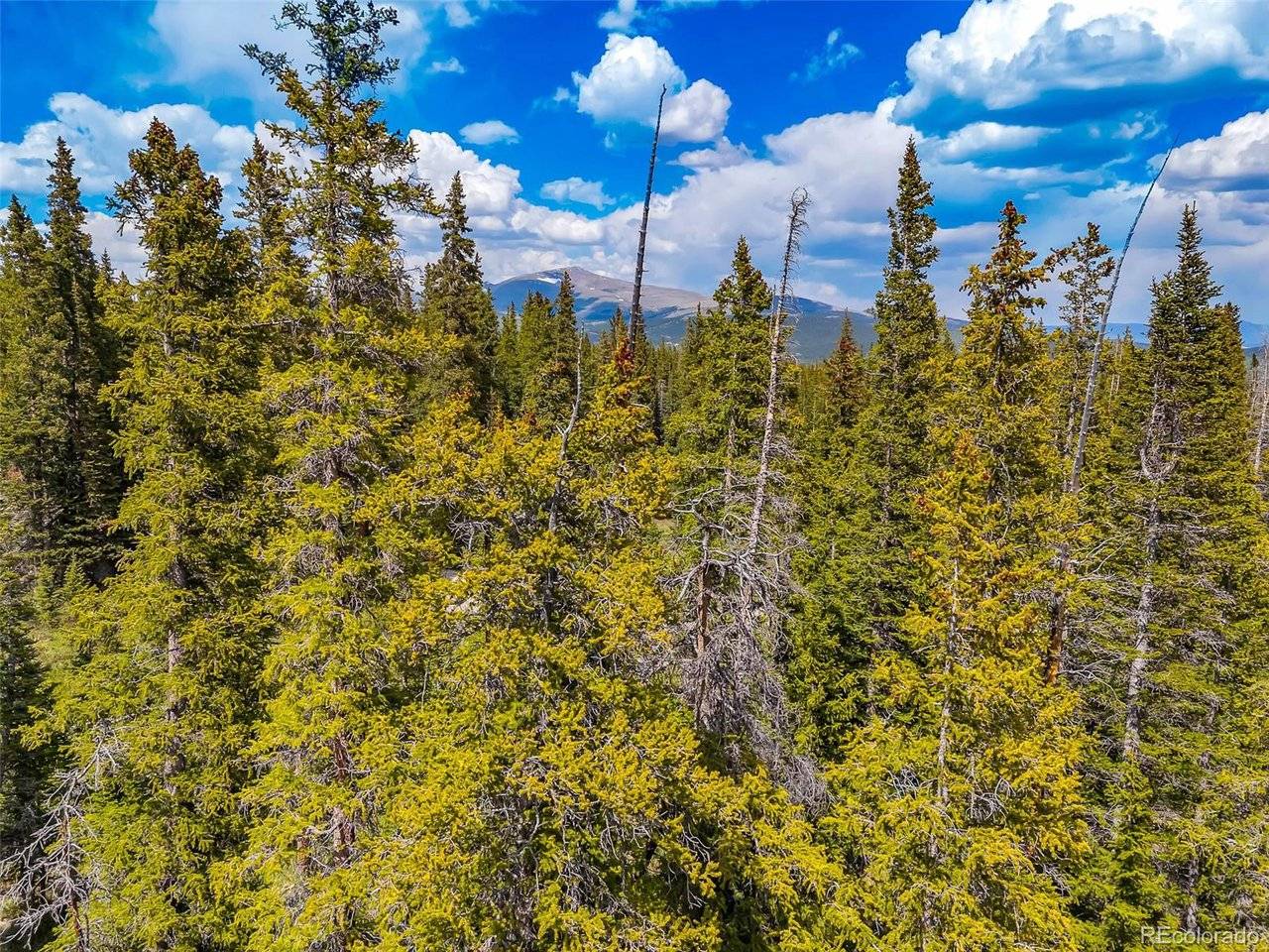 632 El Lobo, Fairplay, CO 80440