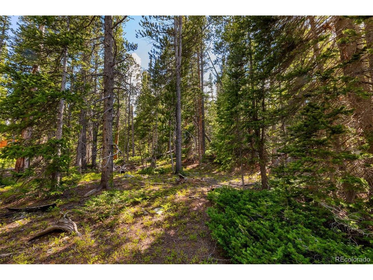 440 Gold Trail, Fairplay, CO 80440