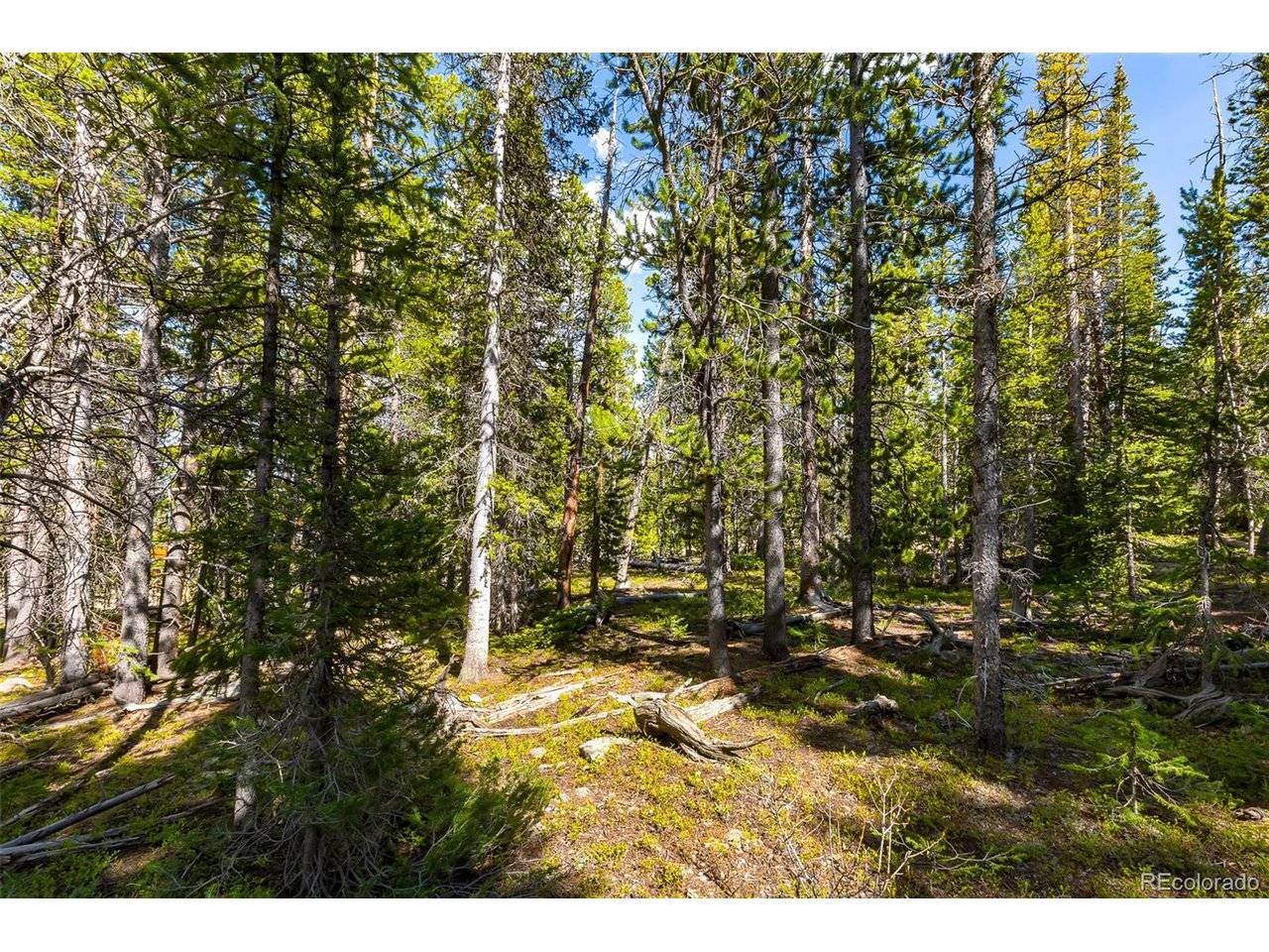440 Gold Trail, Fairplay, CO 80440