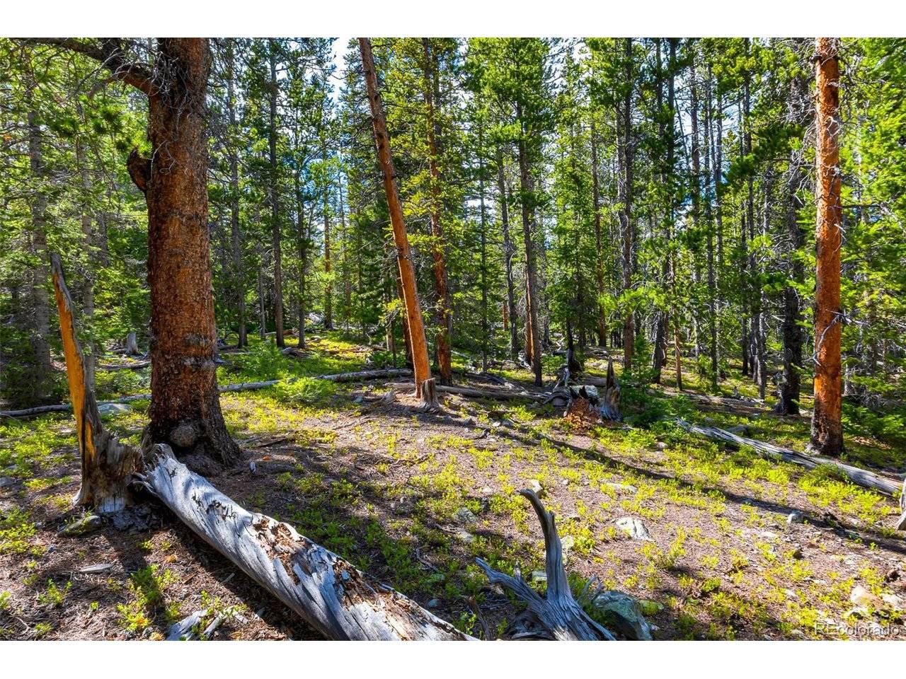 440 Gold Trail, Fairplay, CO 80440