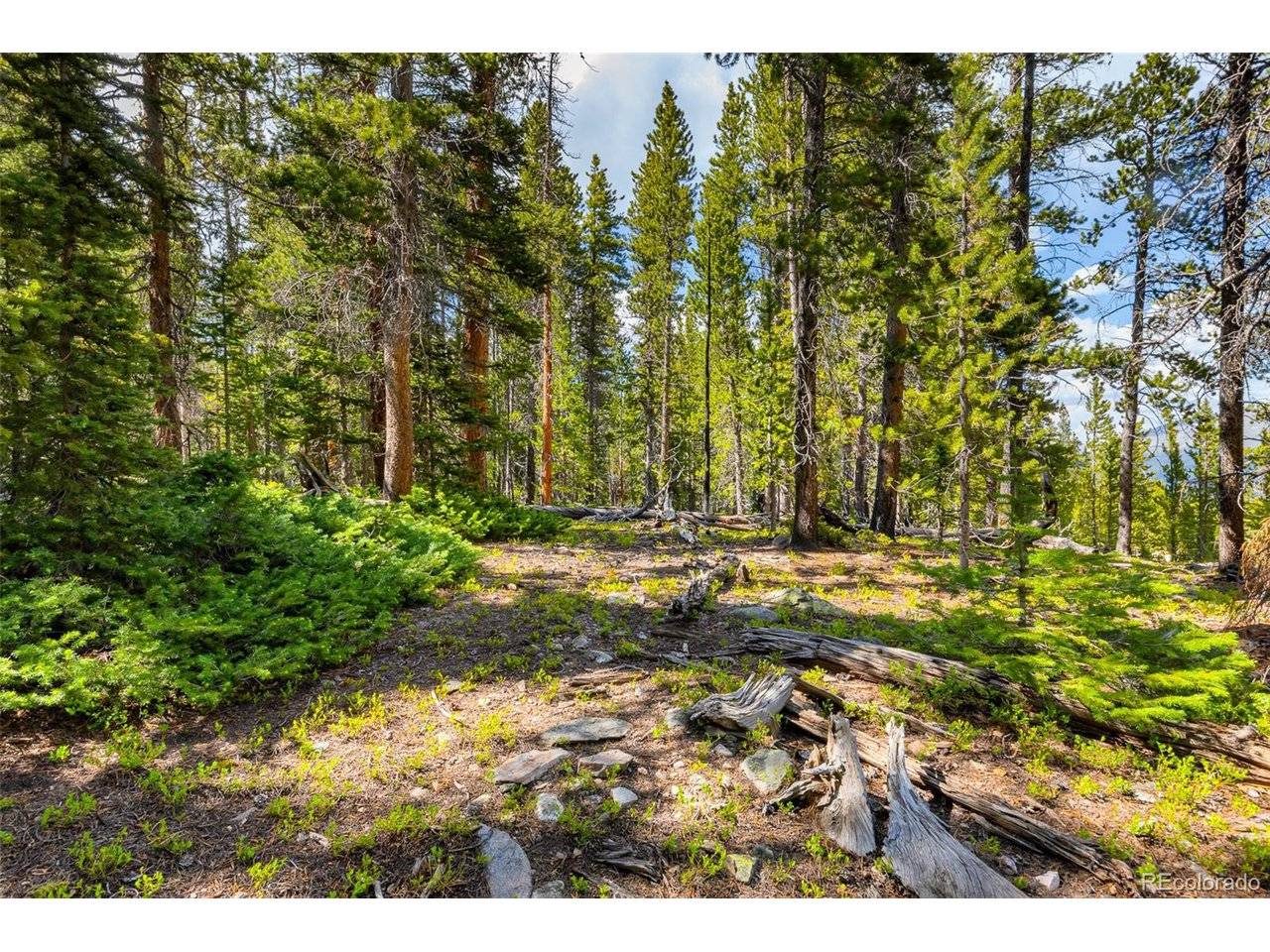 440 Gold Trail, Fairplay, CO 80440