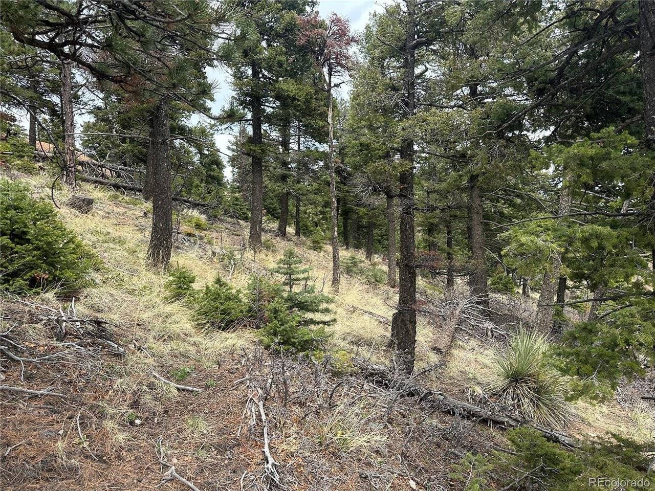 275 Upper Vista, Manitou Springs, CO 80829