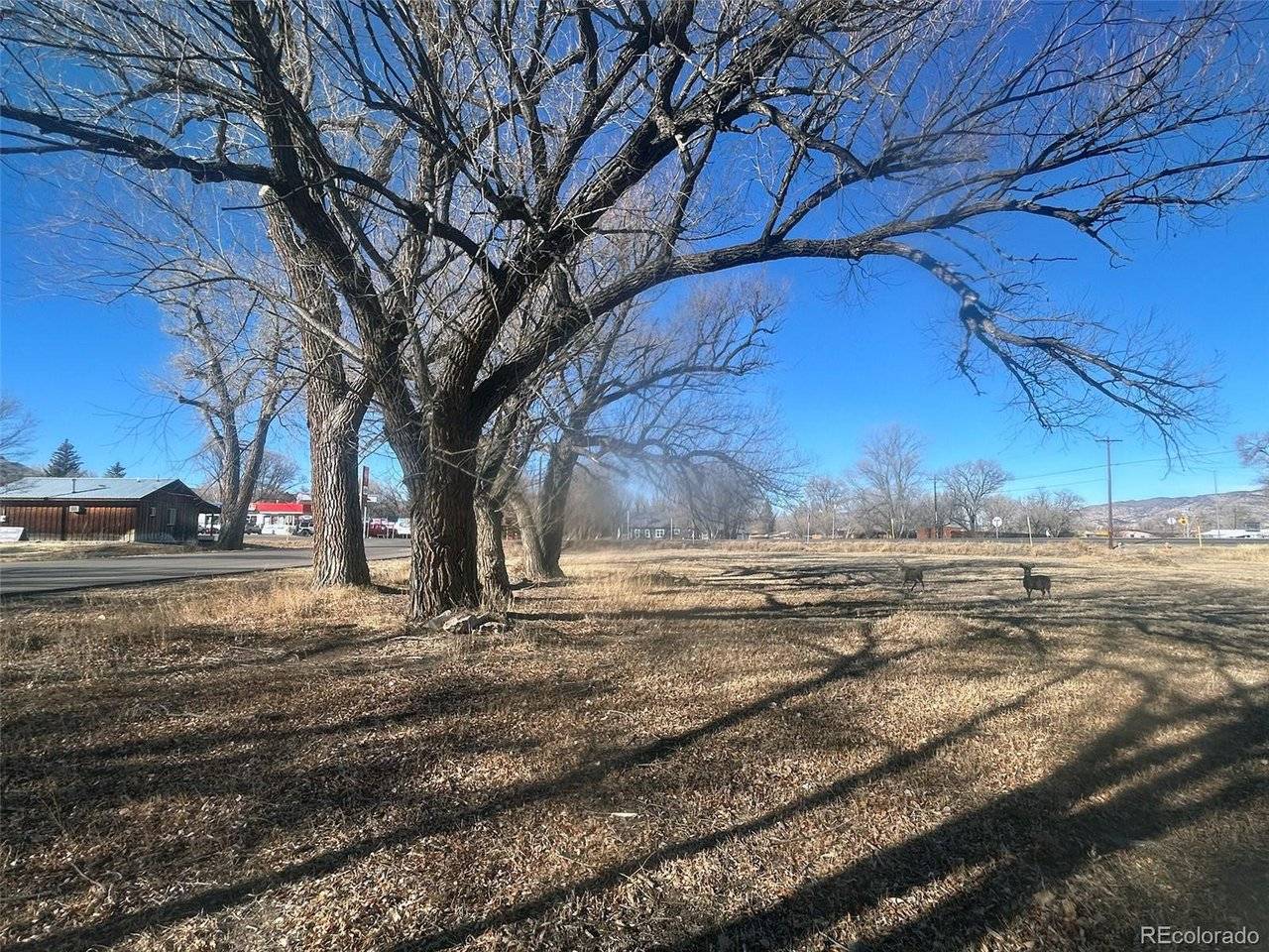 Highway 285, Saguache, CO 81149