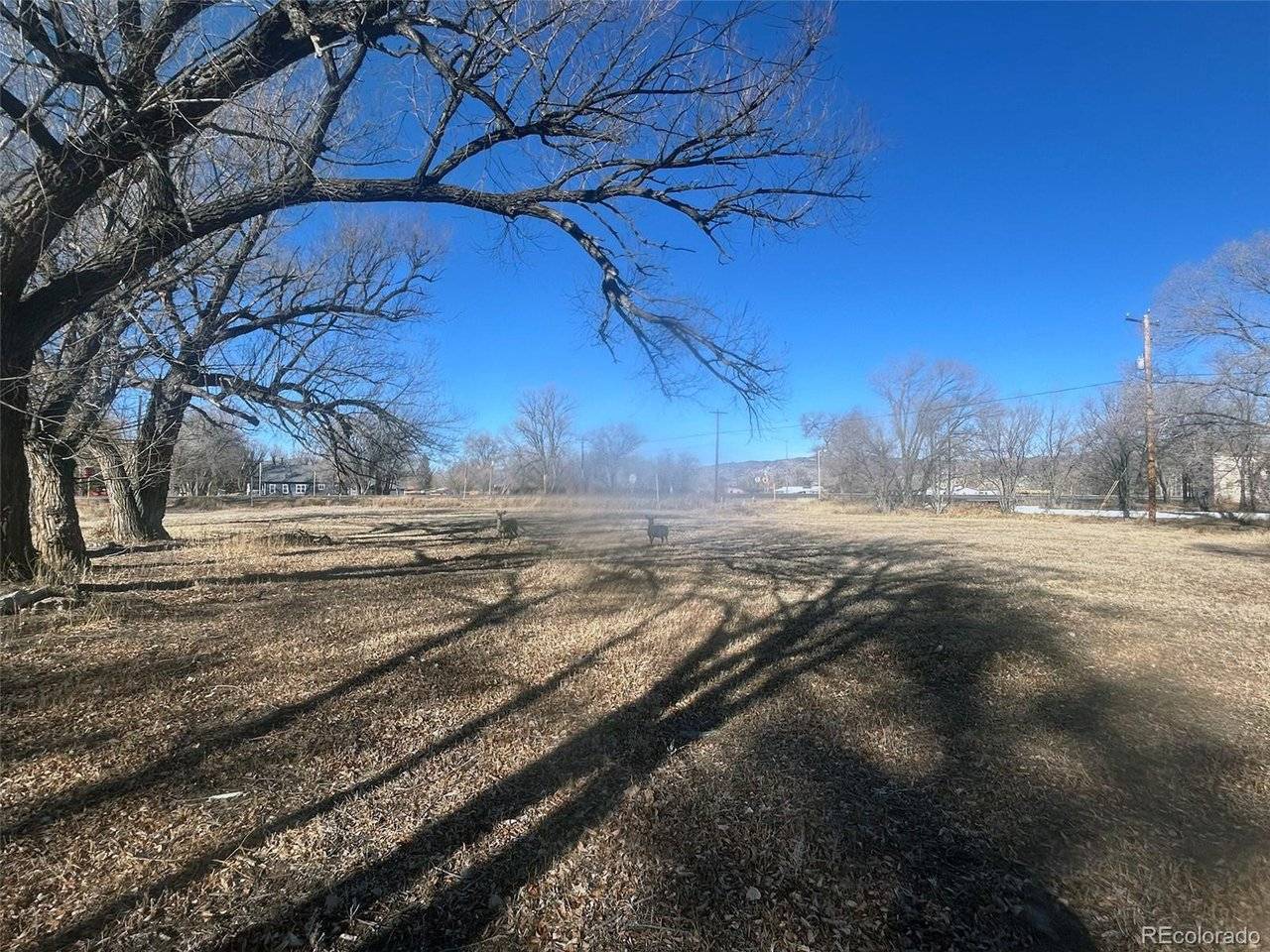 Highway 285, Saguache, CO 81149