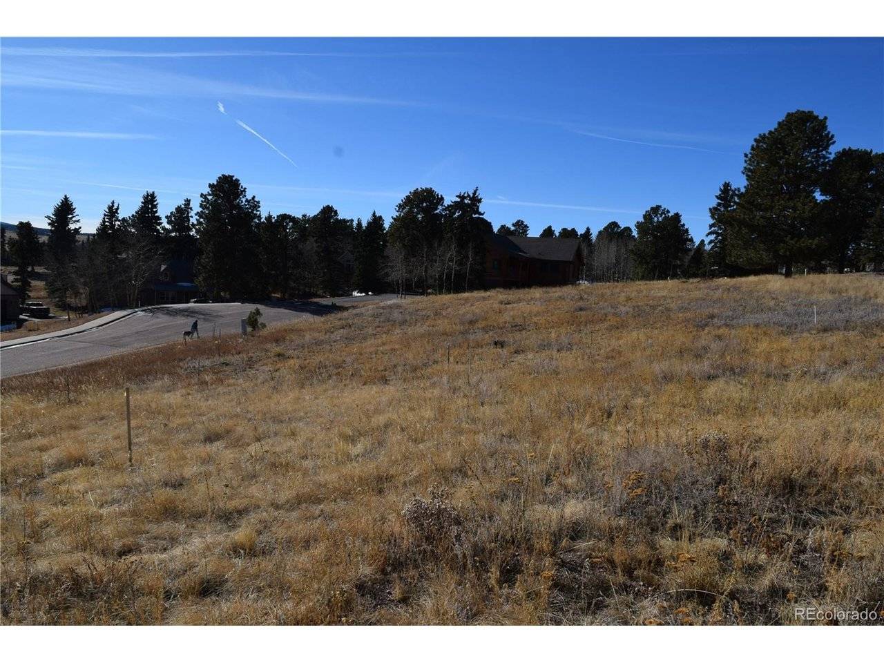 108 Allison, Divide, CO 80814