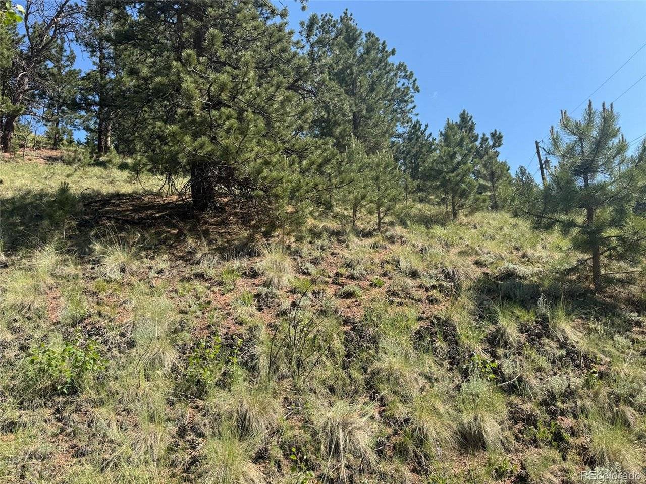 Address not disclosed, Divide, CO 80814