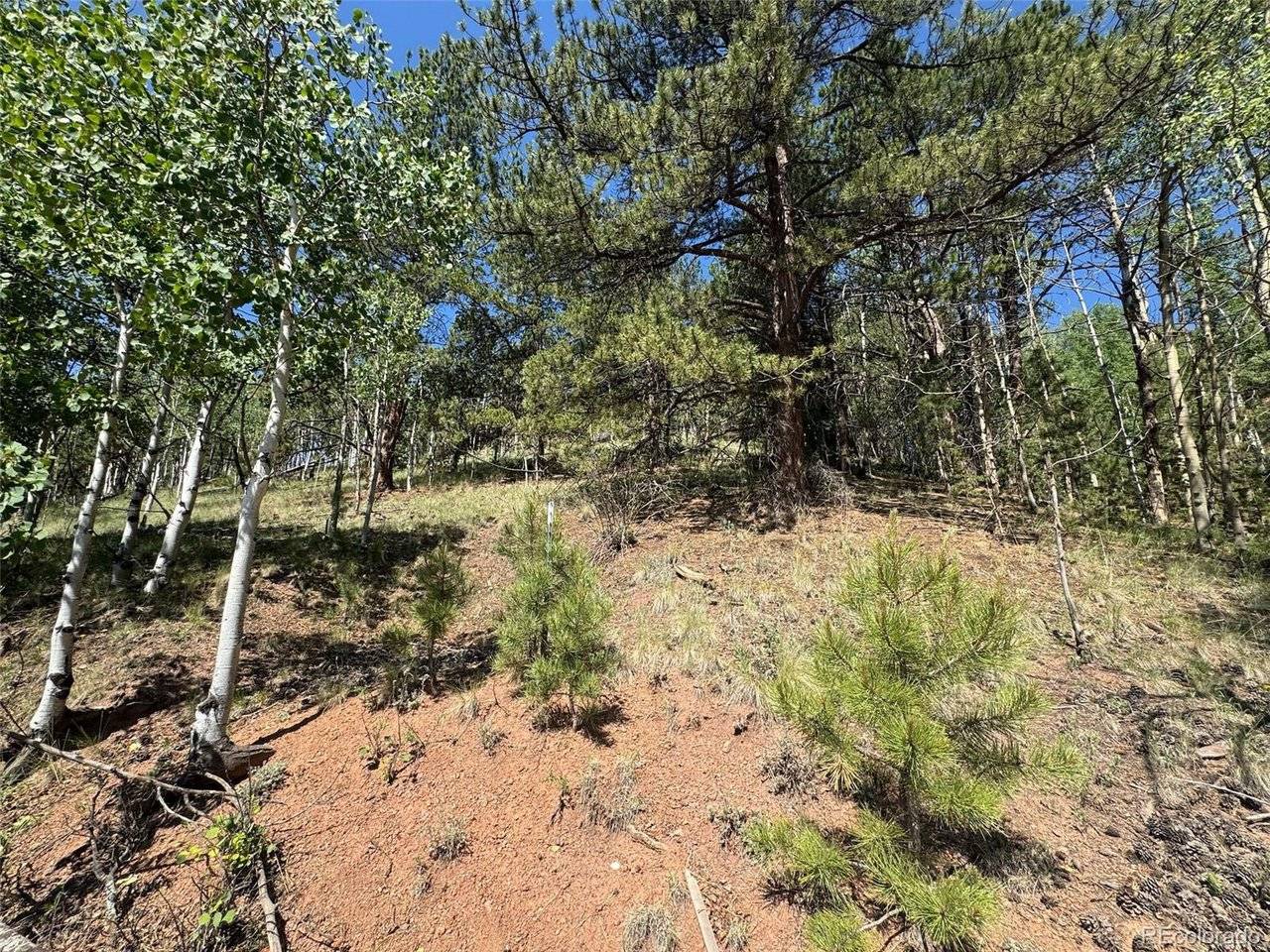 Address not disclosed, Divide, CO 80814