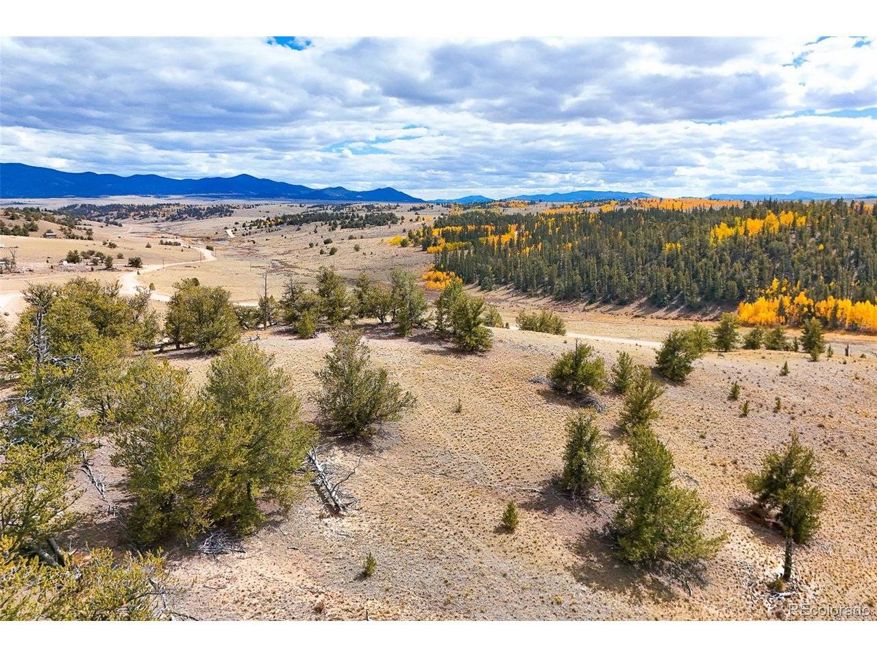 3370 Remington, Jefferson, CO 80456