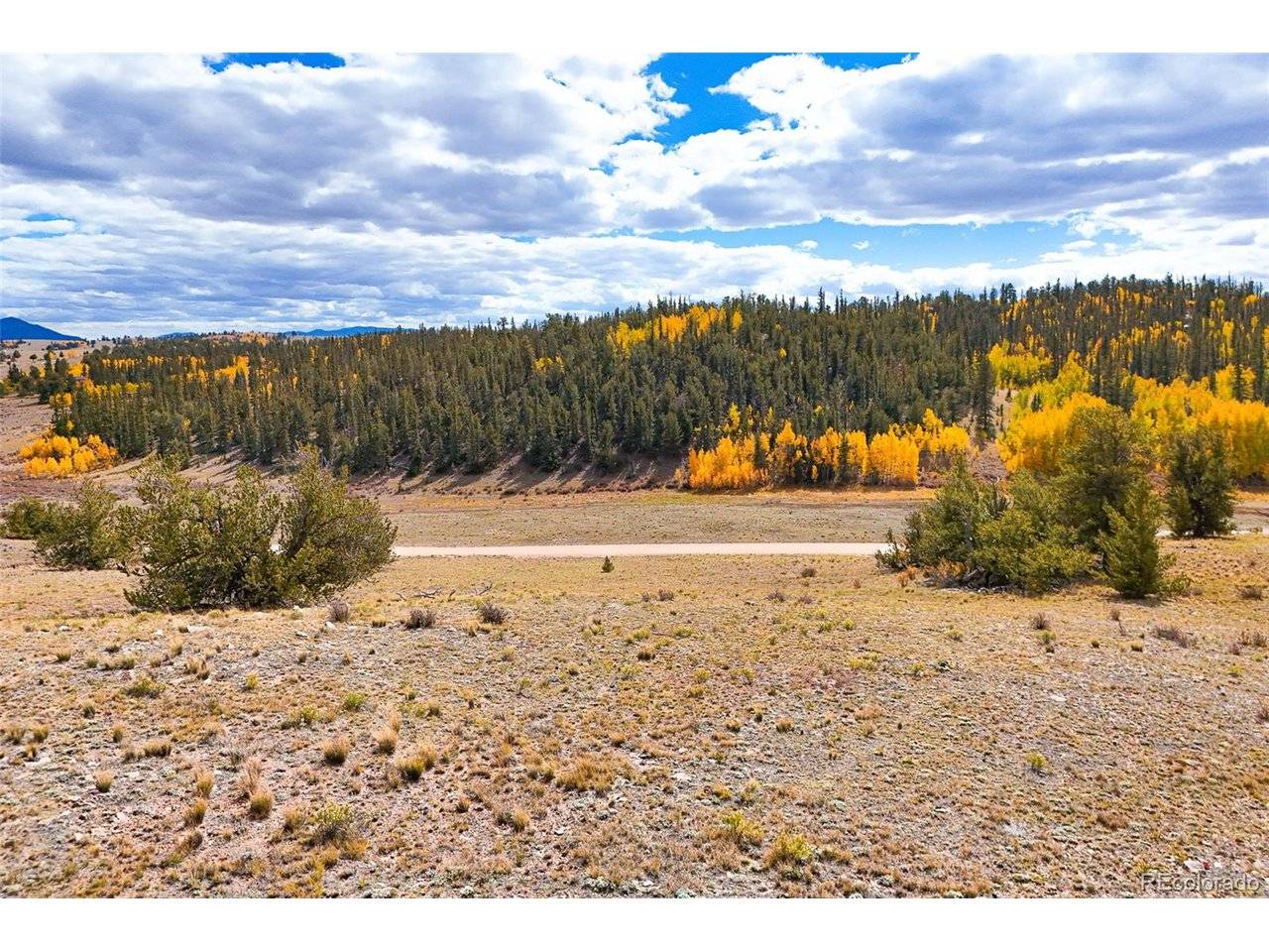 3370 Remington, Jefferson, CO 80456