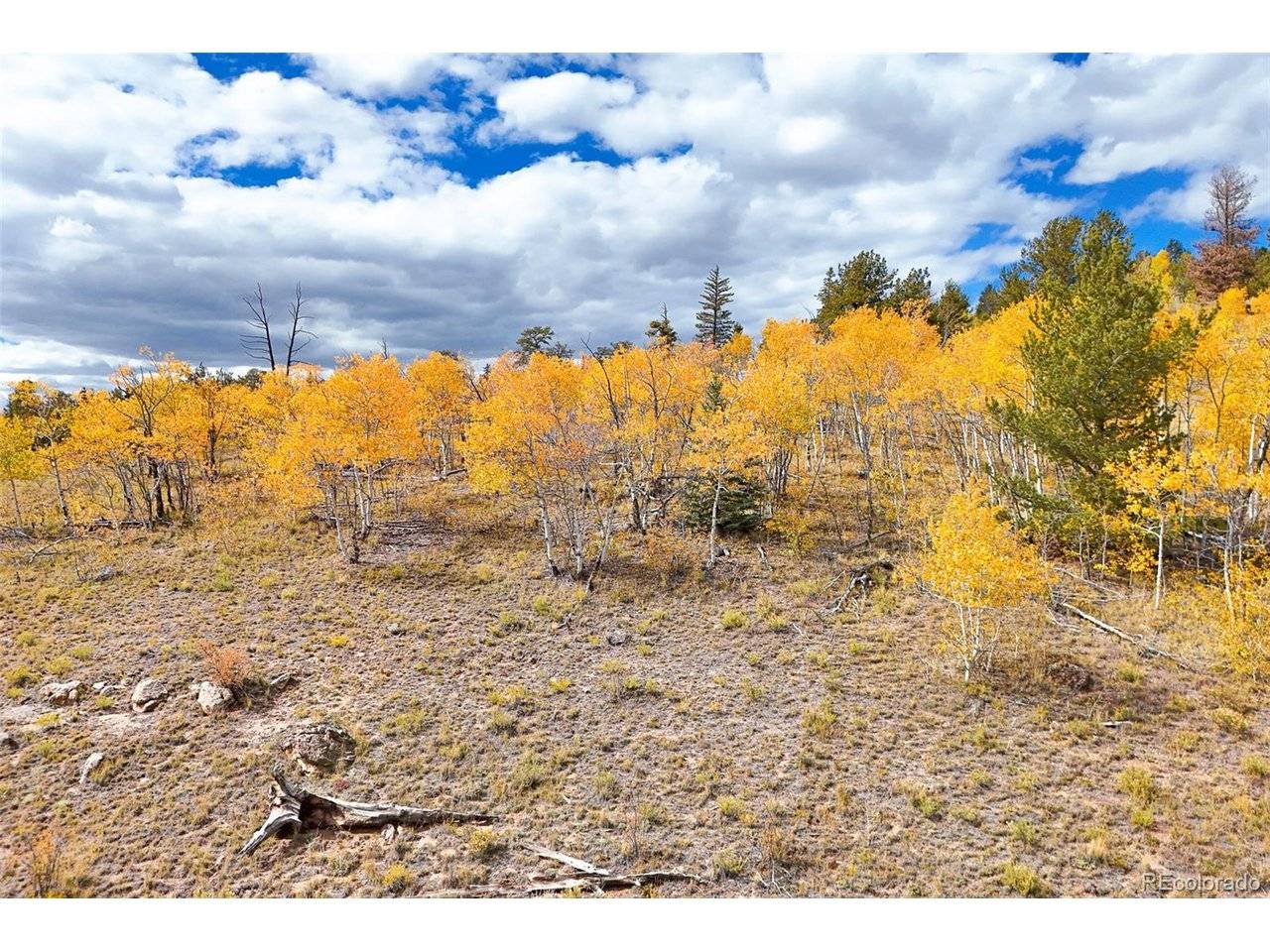 3370 Remington, Jefferson, CO 80456