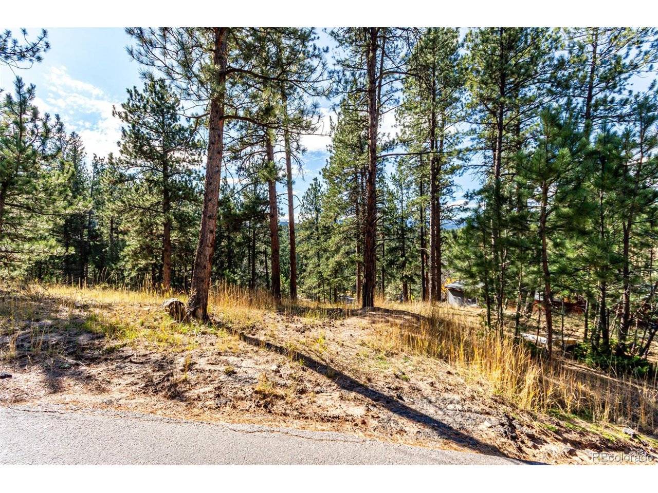 27406 Mountain Park, Evergreen, CO 80439