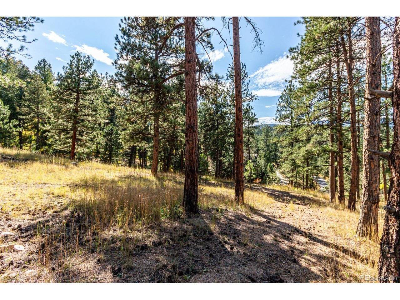 27406 Mountain Park, Evergreen, CO 80439