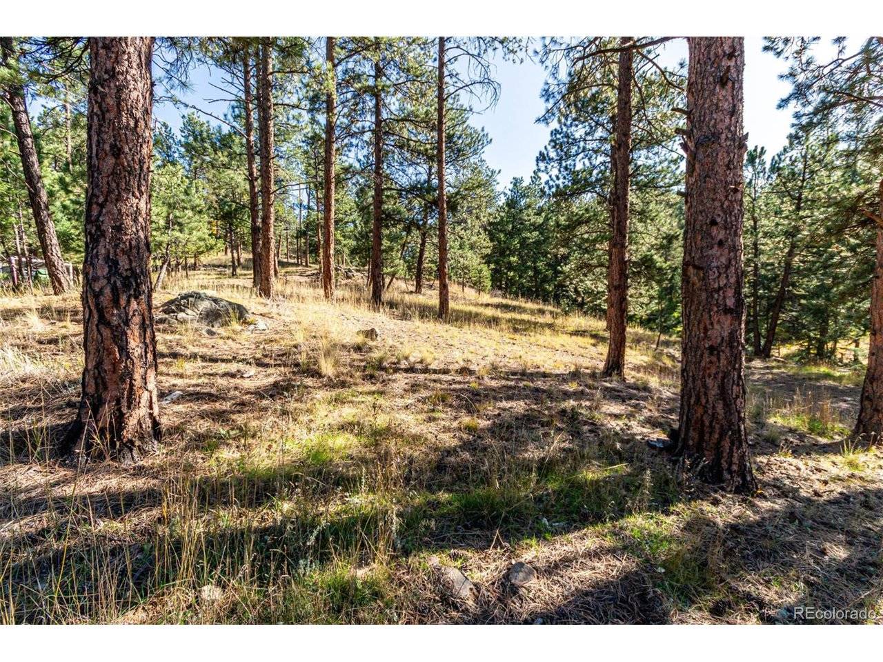 27406 Mountain Park, Evergreen, CO 80439