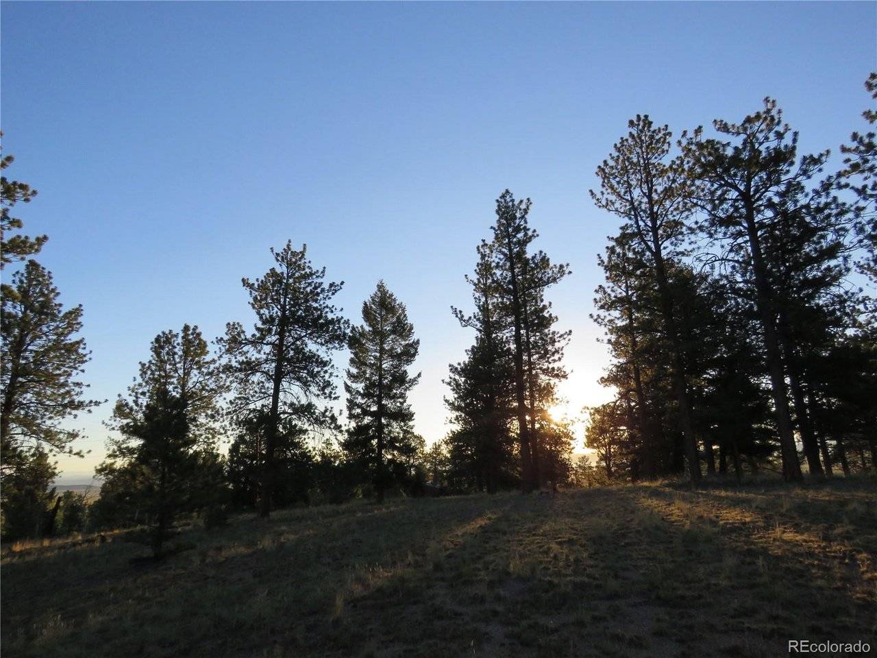 9389 Ranch, Hartsel, CO 80449