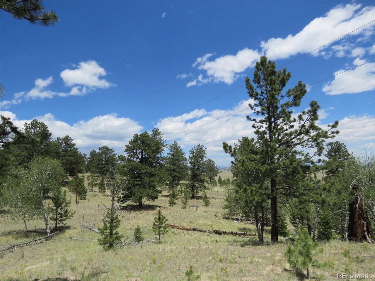 9389 Ranch, Hartsel, CO 80449