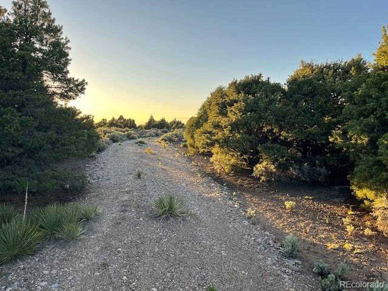 8113 County Road 18.9, San Luis, CO 81152