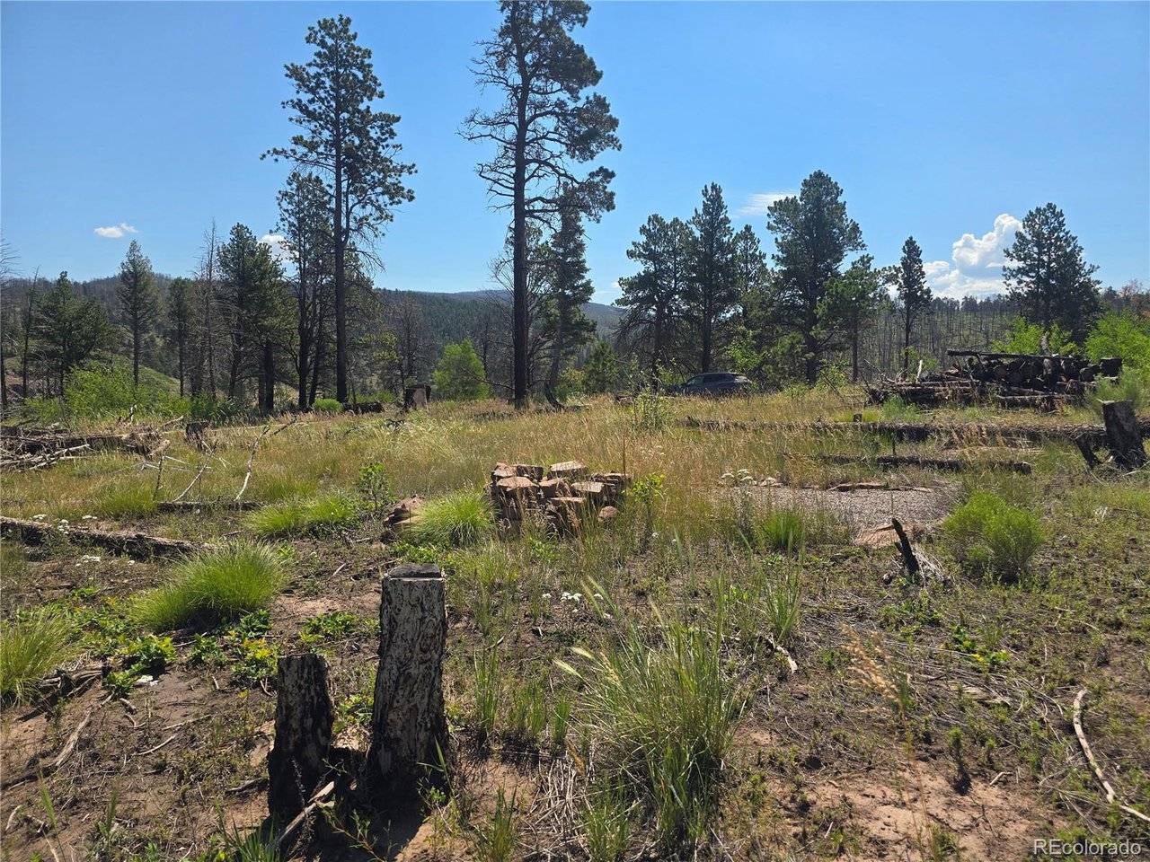 695 Cogbill, Fort Garland, CO 81133