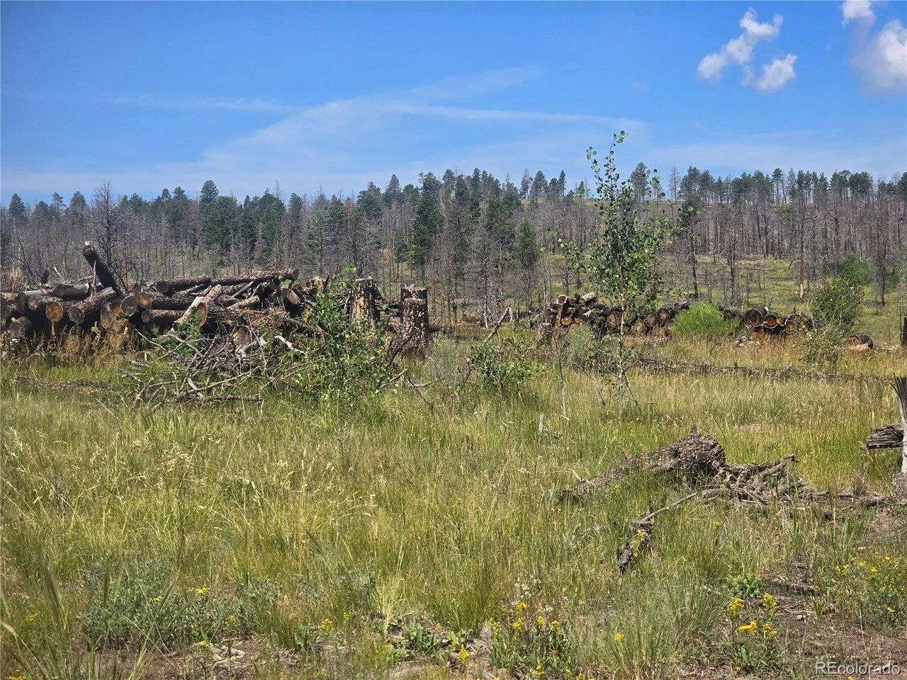 695 Cogbill, Fort Garland, CO 81133