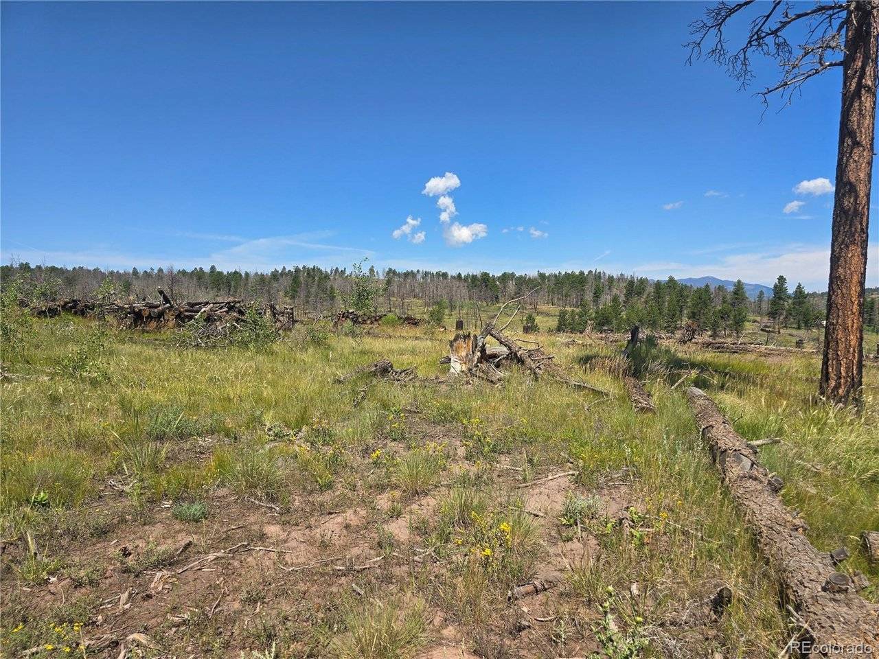 695 Cogbill, Fort Garland, CO 81133