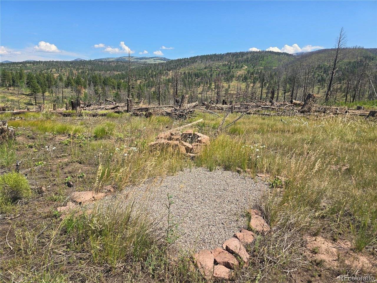 695 Cogbill, Fort Garland, CO 81133