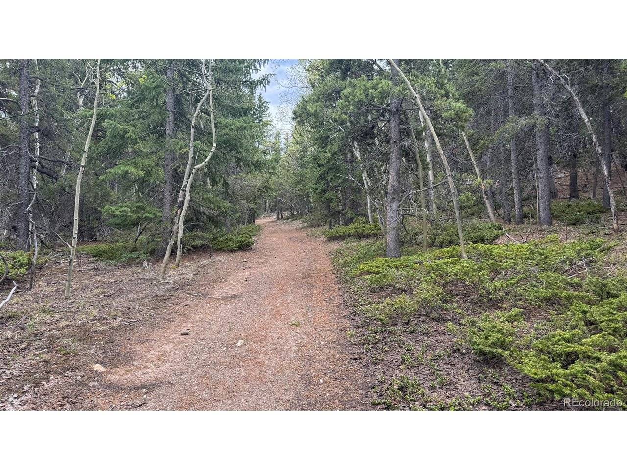 5 Roy Smith, Central City, CO 80427