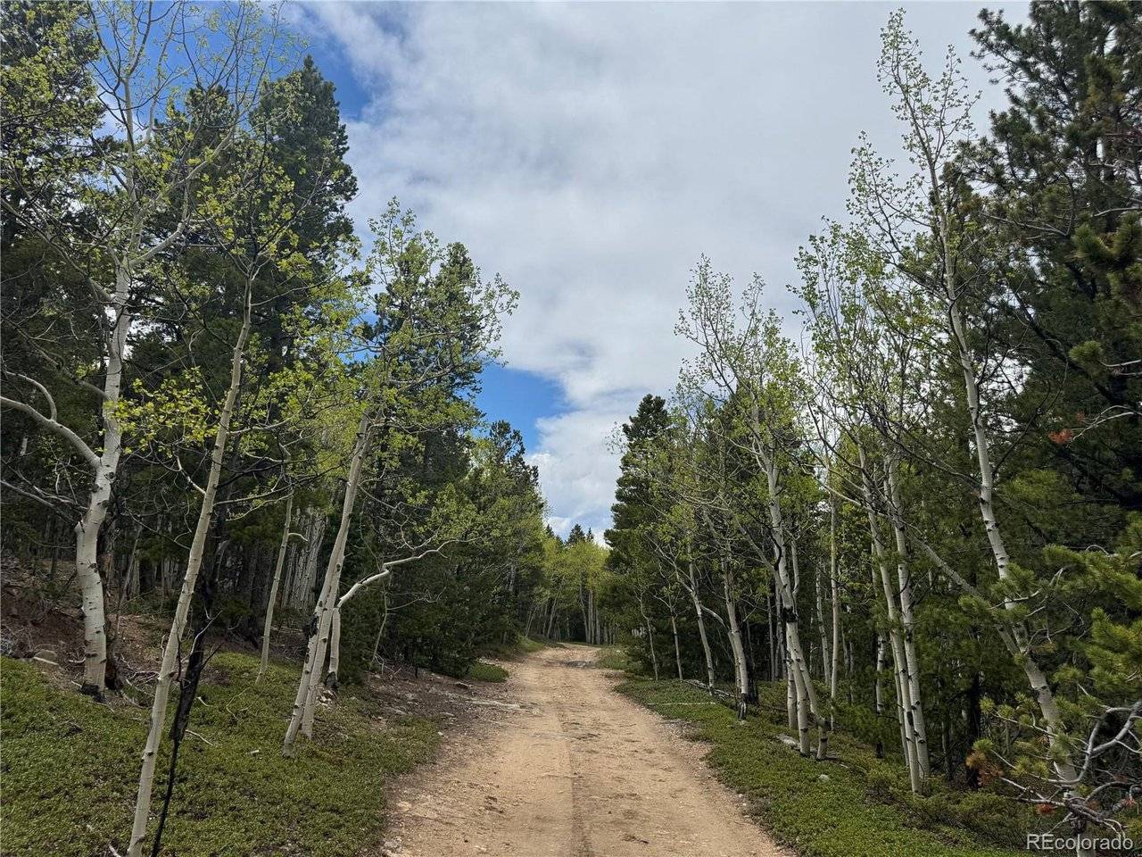 5 Roy Smith, Central City, CO 80427