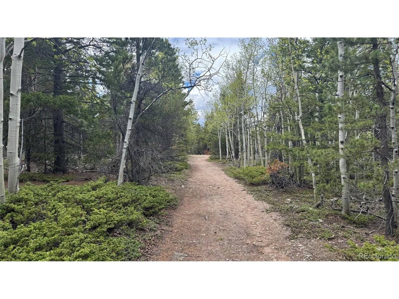5 Roy Smith, Central City, CO 80427