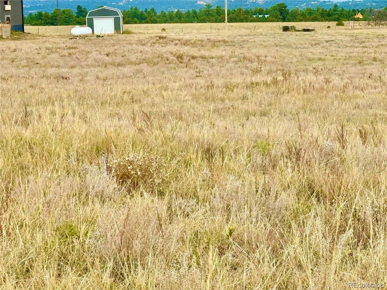135 Fawn, Westcliffe, CO 81252
