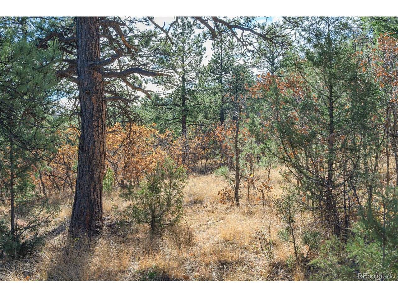 14341 North, Weston, CO 81091