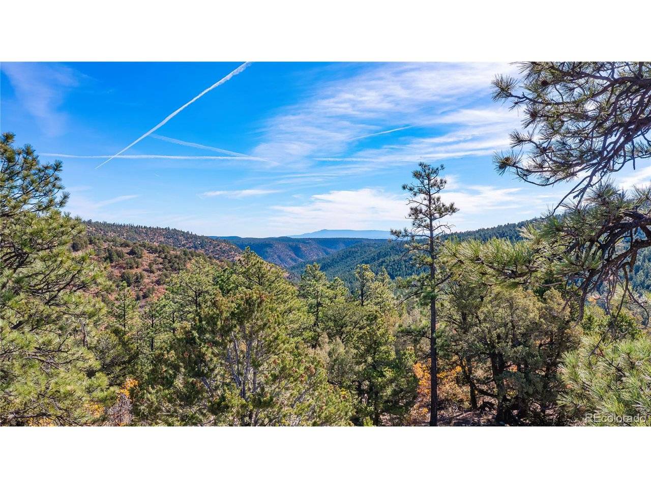 14341 North, Weston, CO 81091