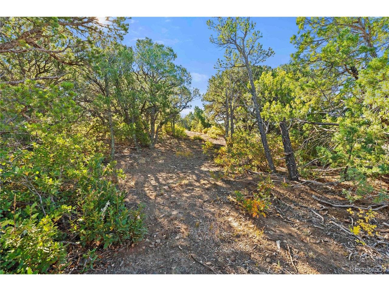 Tollerburg, Trinidad, CO 81082