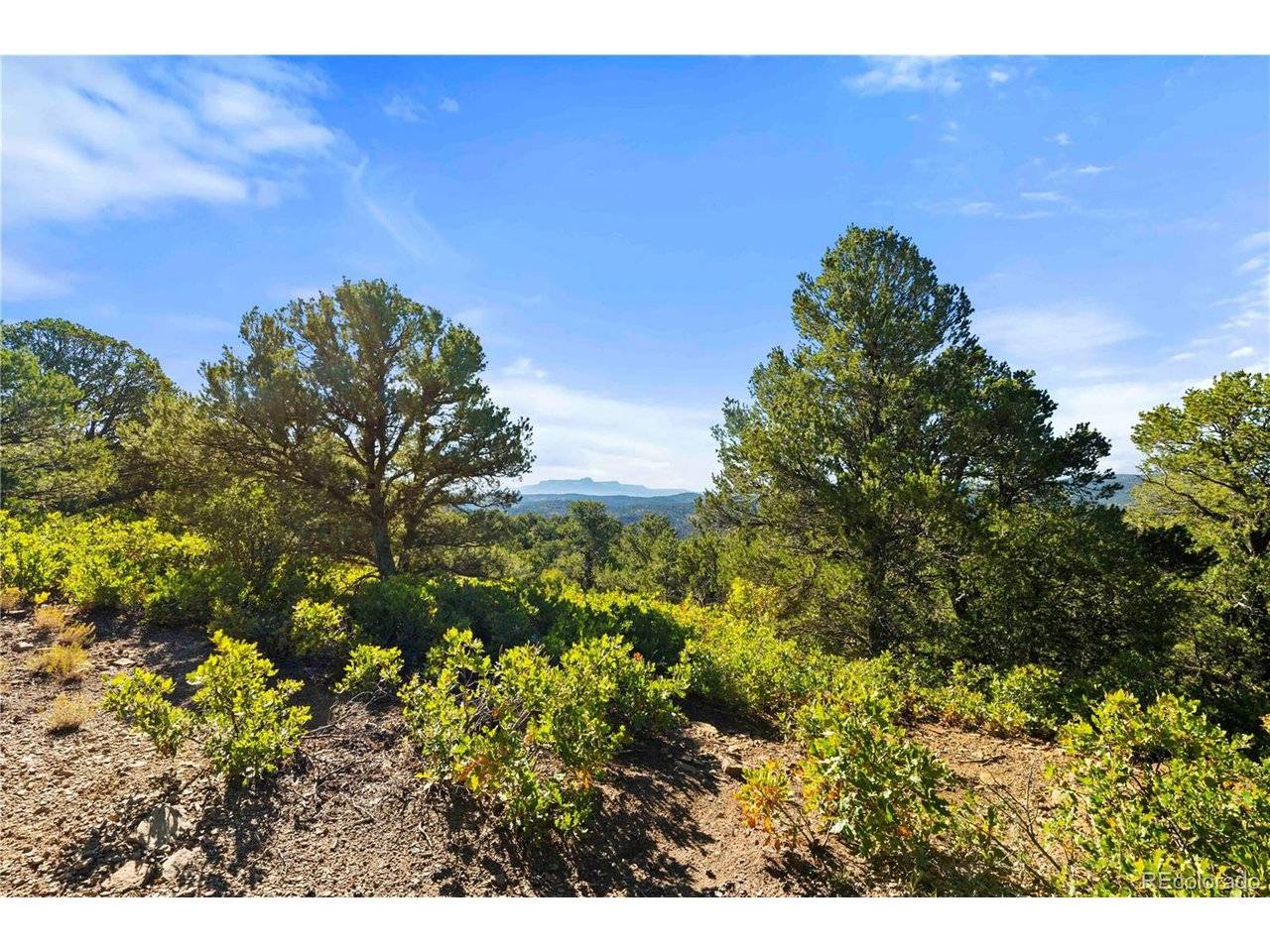 Tollerburg, Trinidad, CO 81082