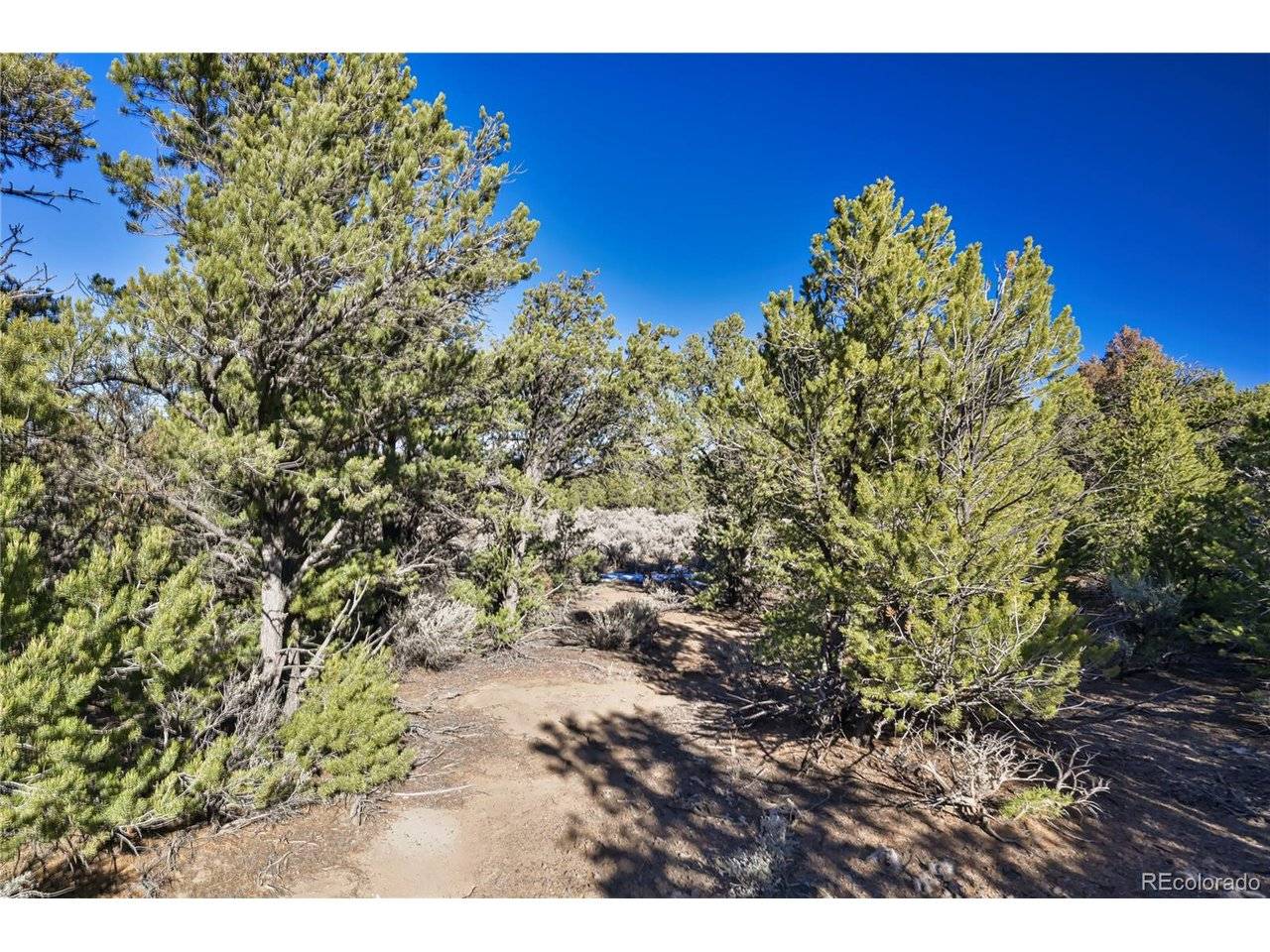 Address not disclosed, Fort Garland, CO 81133