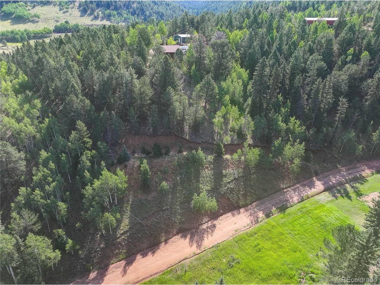 490 Willow, Divide, CO 80814