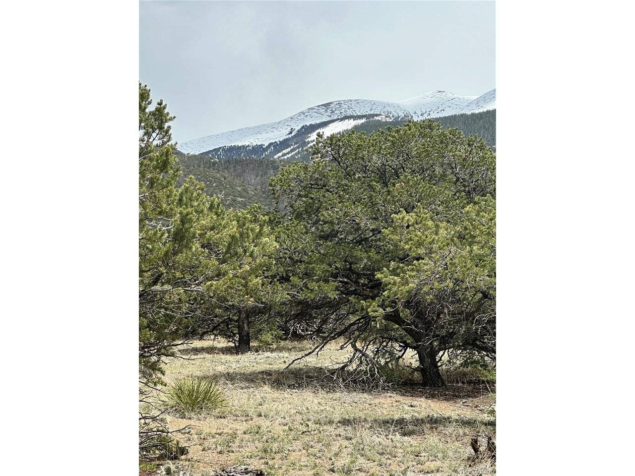 10 Mountain Springs, Mosca, CO 81146