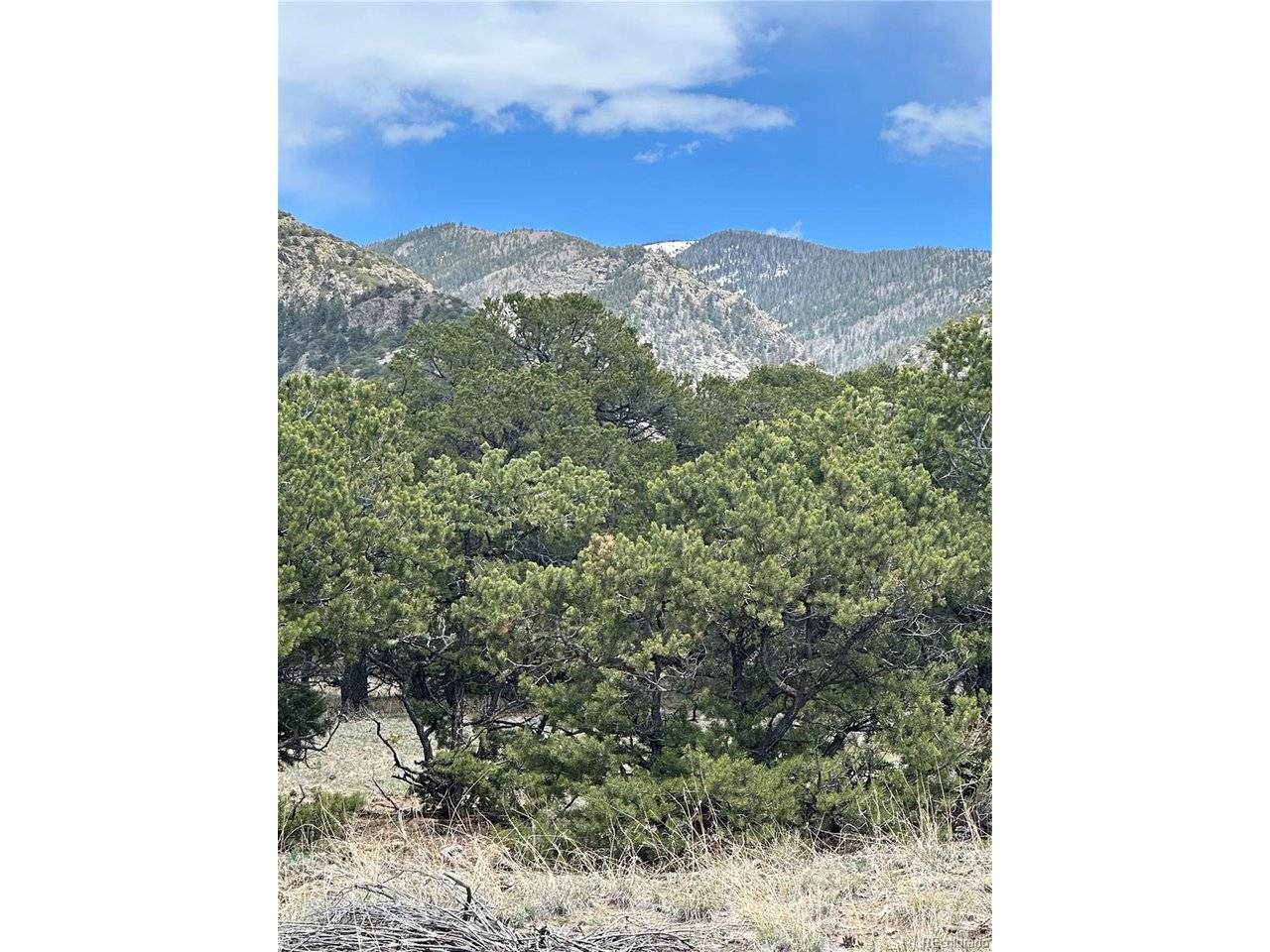 10 Mountain Springs, Mosca, CO 81146