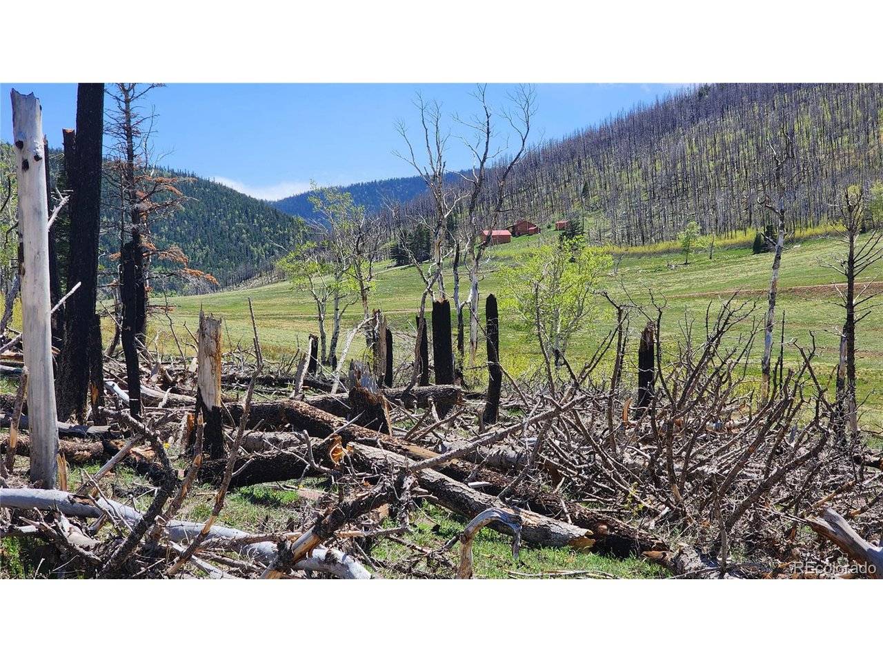 2334 Wohlstetter, Fort Garland, CO 81133