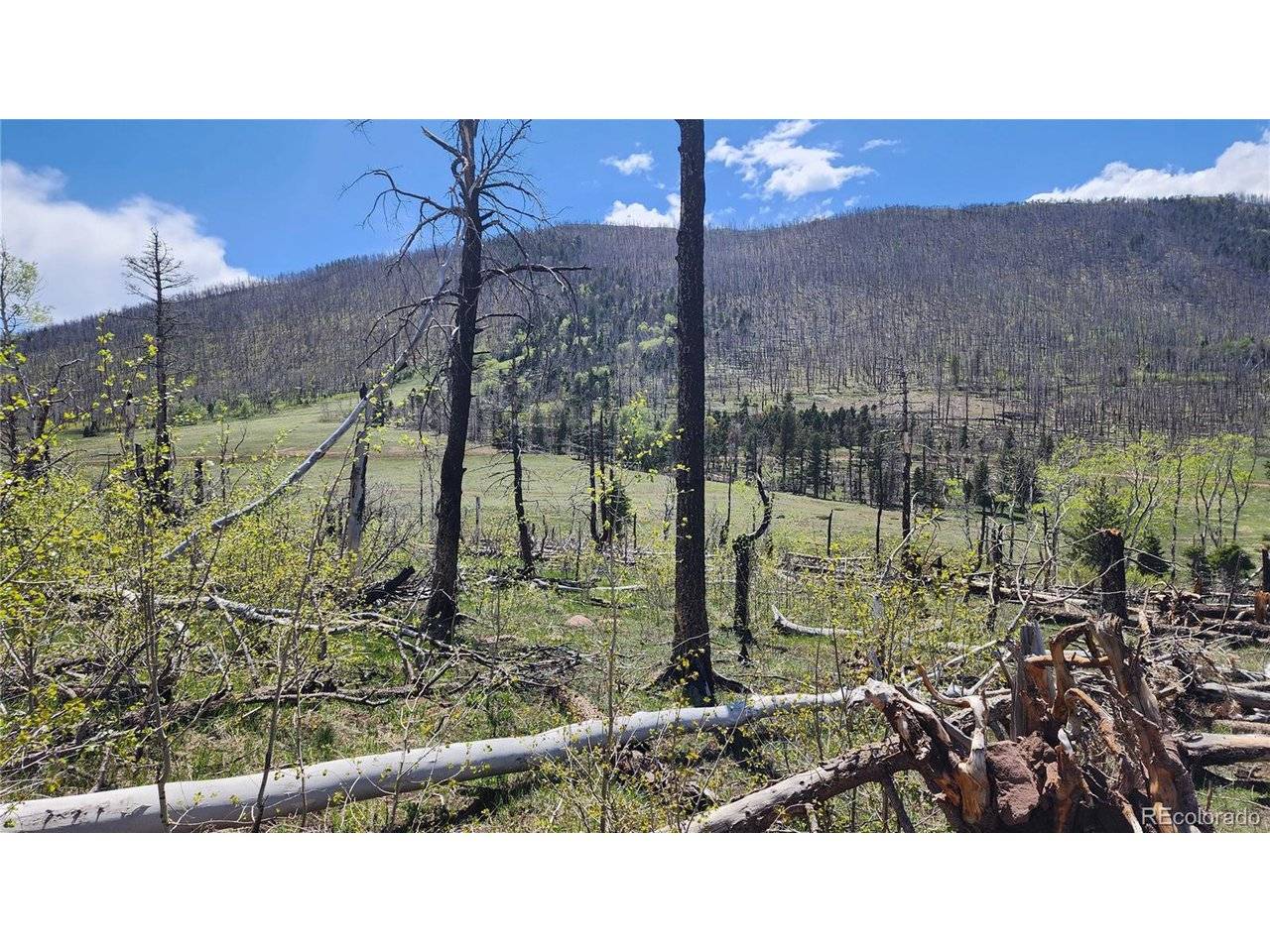 2334 Wohlstetter, Fort Garland, CO 81133