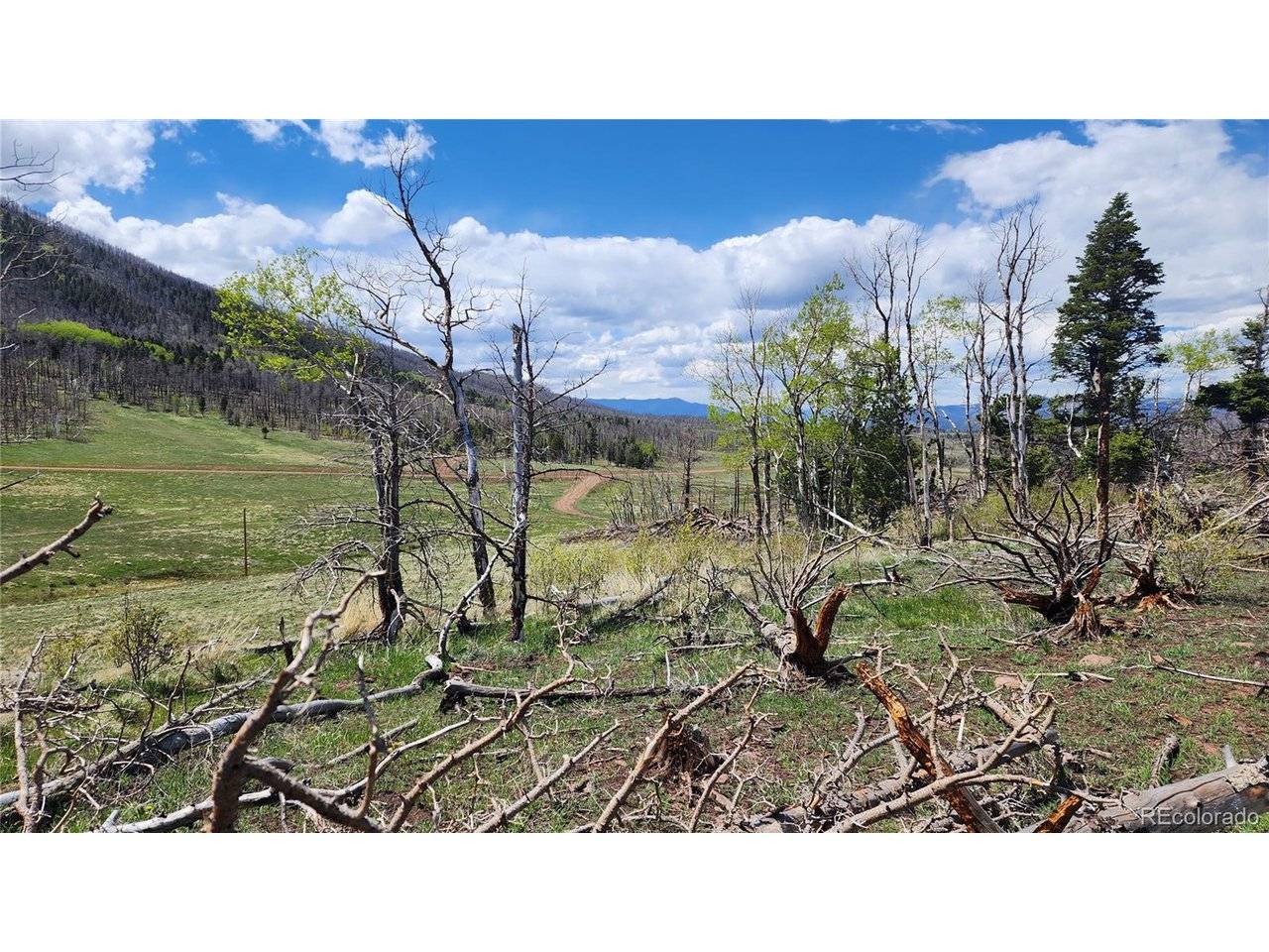2334 Wohlstetter, Fort Garland, CO 81133