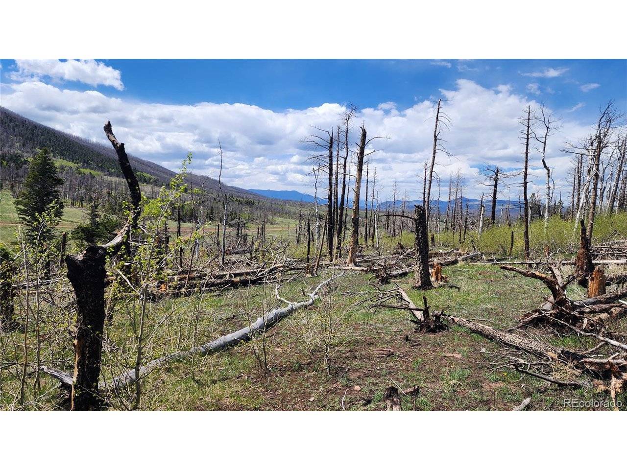 2334 Wohlstetter, Fort Garland, CO 81133