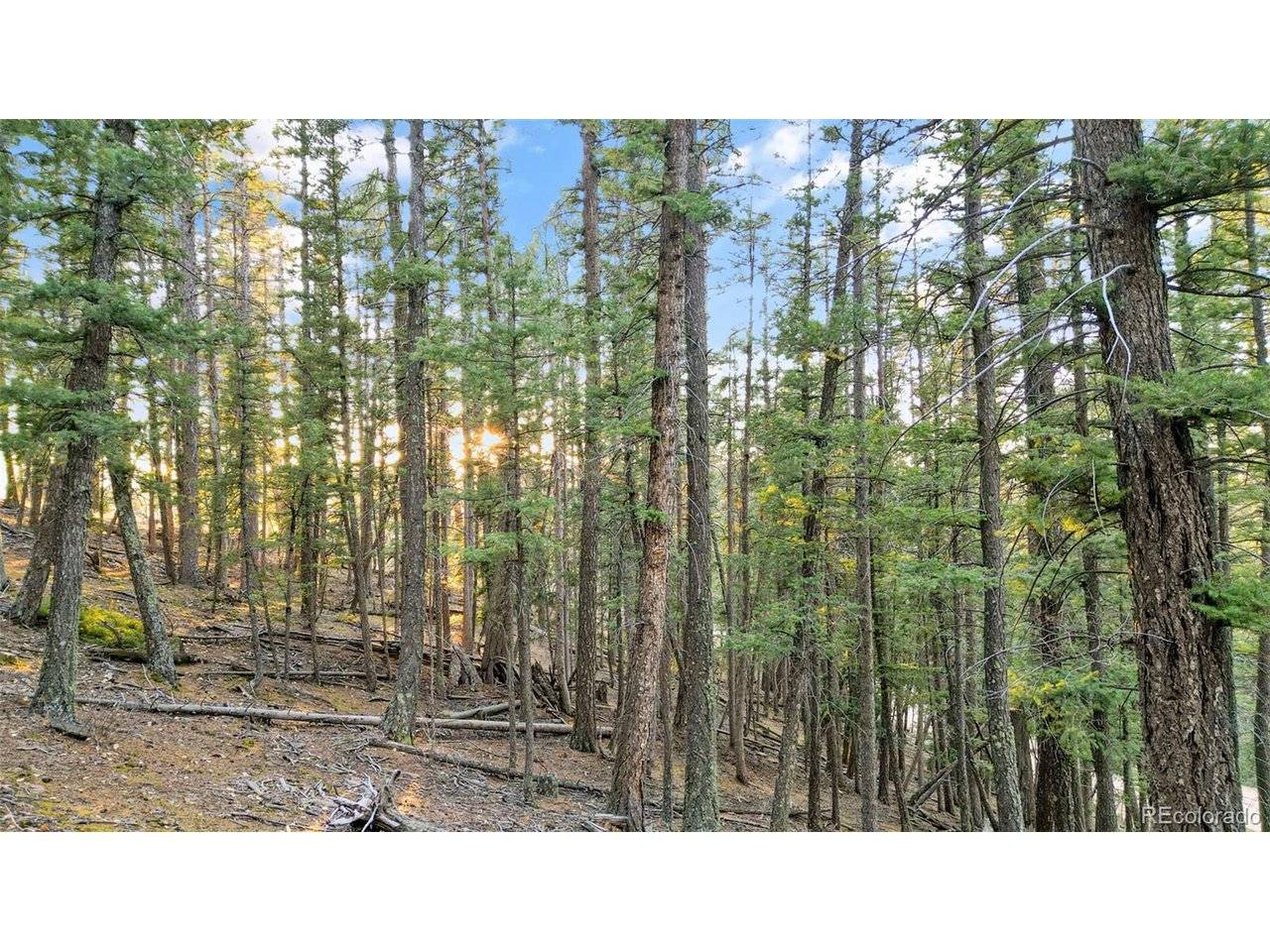 1289 Yorktown, Cripple Creek, CO 80813