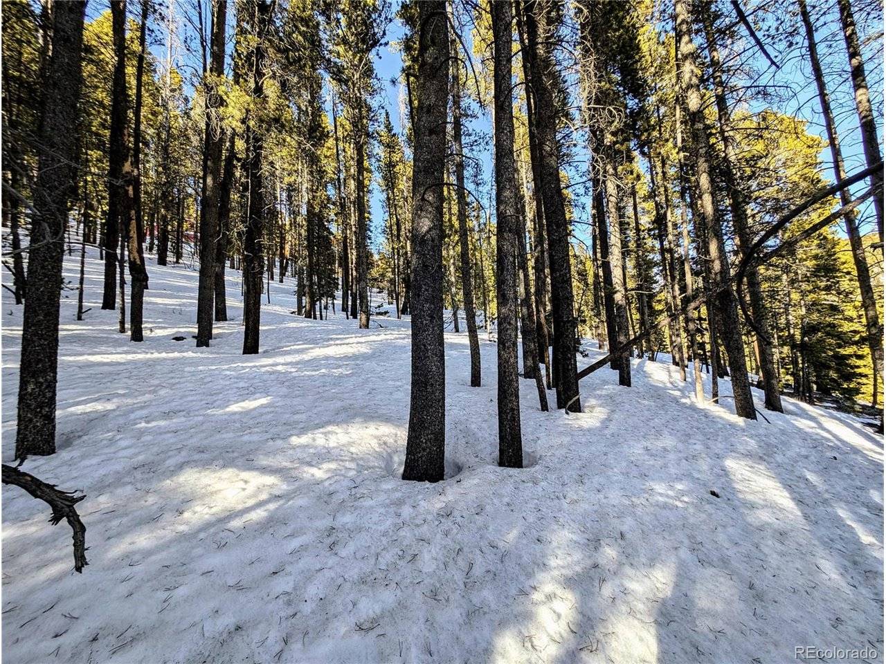 677 Alice, Idaho Springs, CO 80453