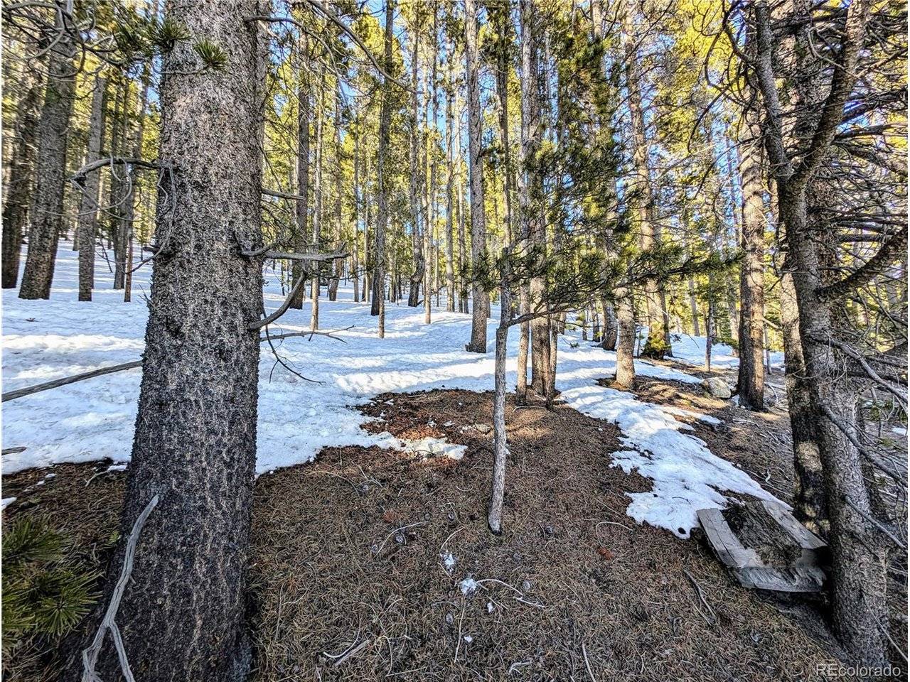 677 Alice, Idaho Springs, CO 80453