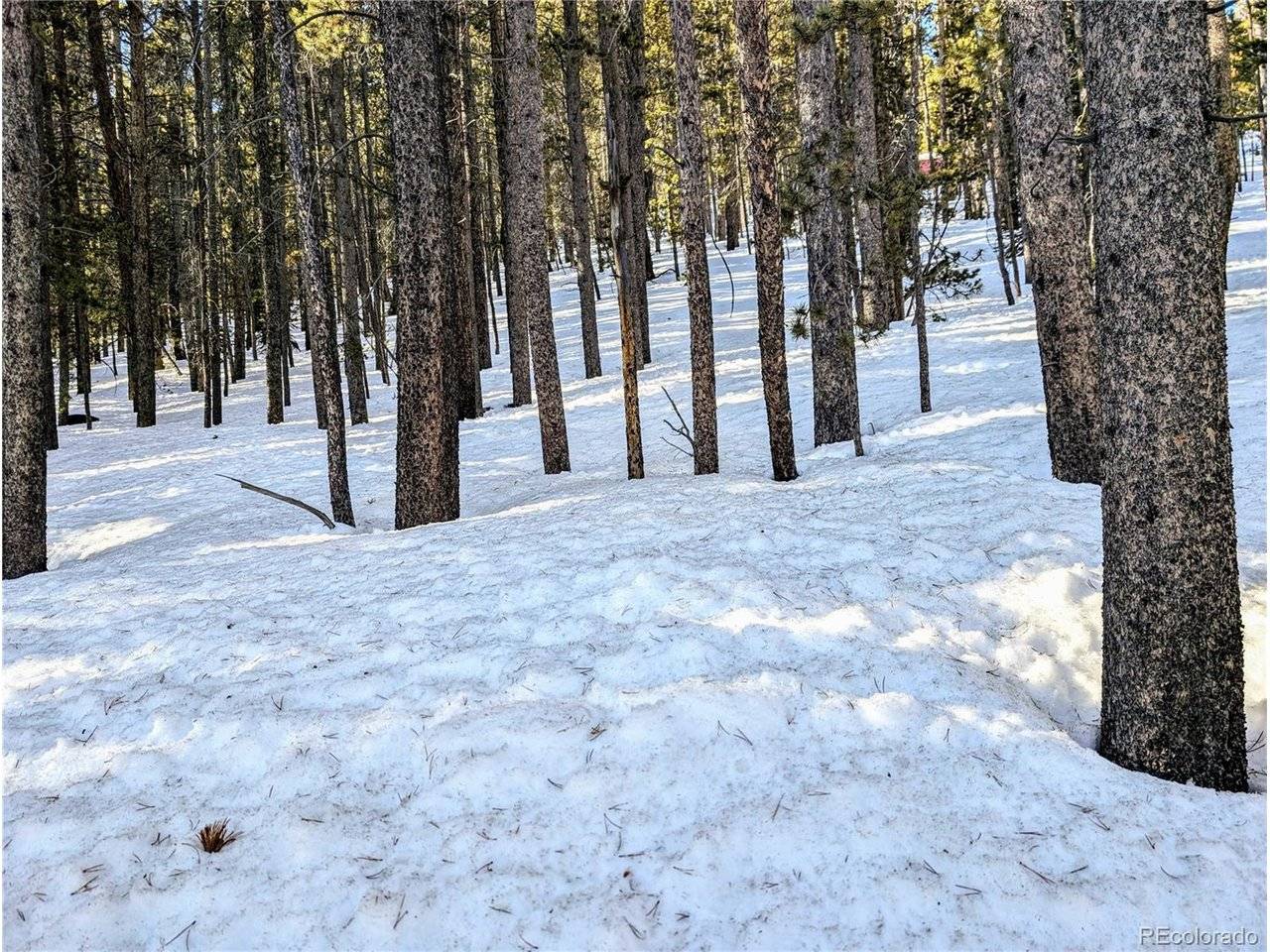 677 Alice, Idaho Springs, CO 80453