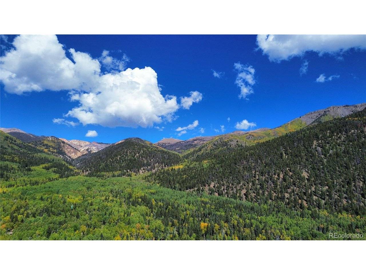 613 Alamosa, Jasper, CO 81140
