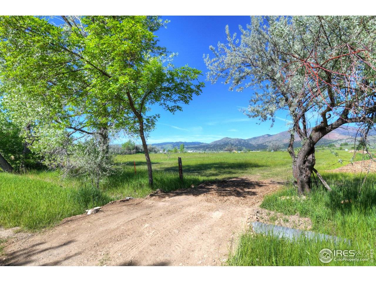 9231 Tollgate, Longmont, CO 80503