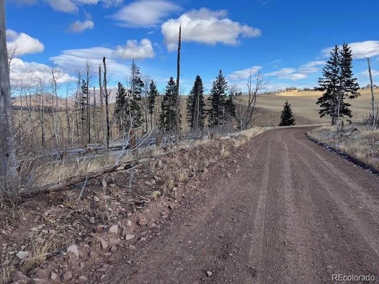 2397 Petito, Fort Garland, CO 81133